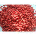 Fresh Goji Berries/Natural authentic wolfberry